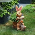 thumbnail image 3 of LuxenHome Lapin Brun sur une Planteur MgO de Vélo, 3 of 8