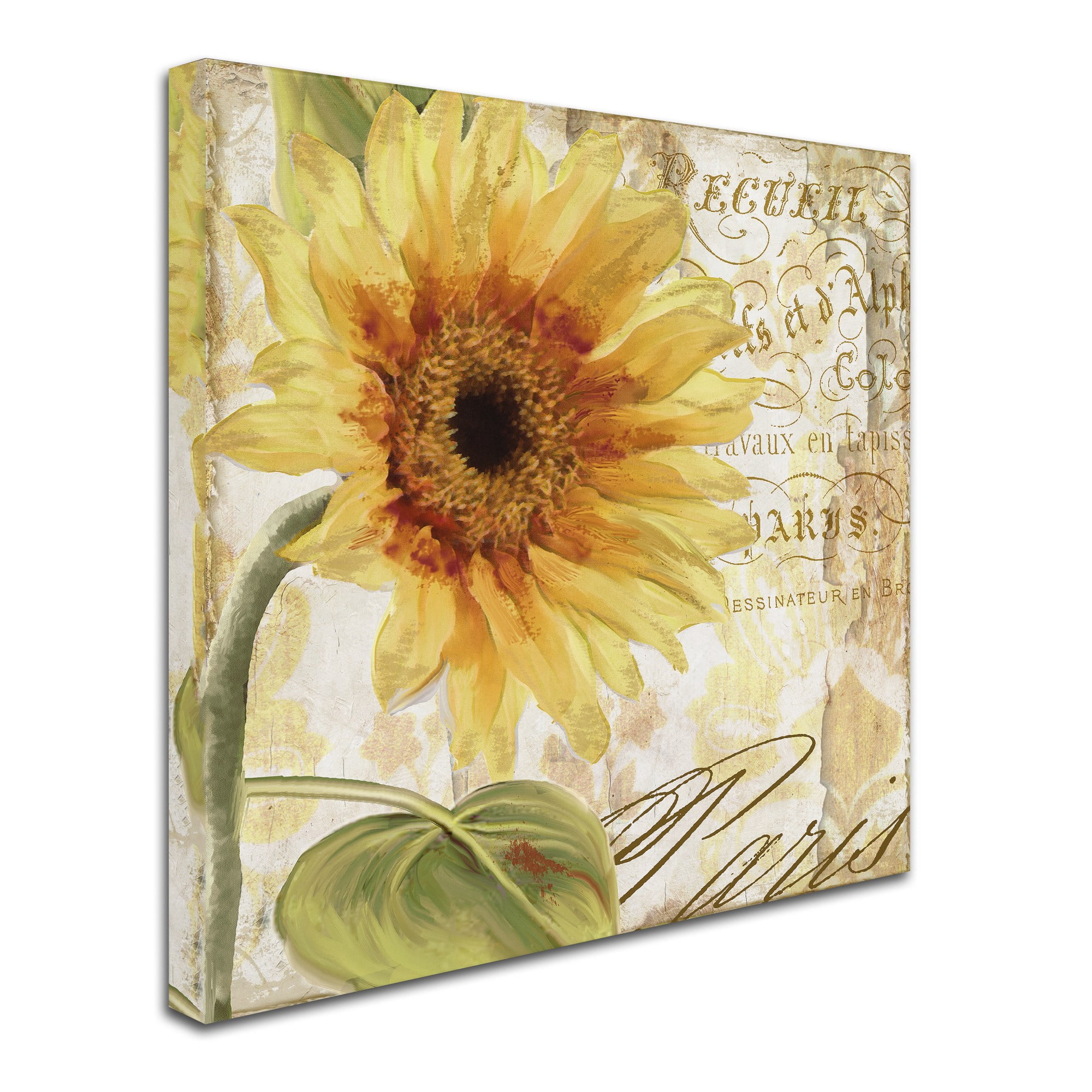 Trademark Fine Art "Ete I" Canvas Art by Color Bakery