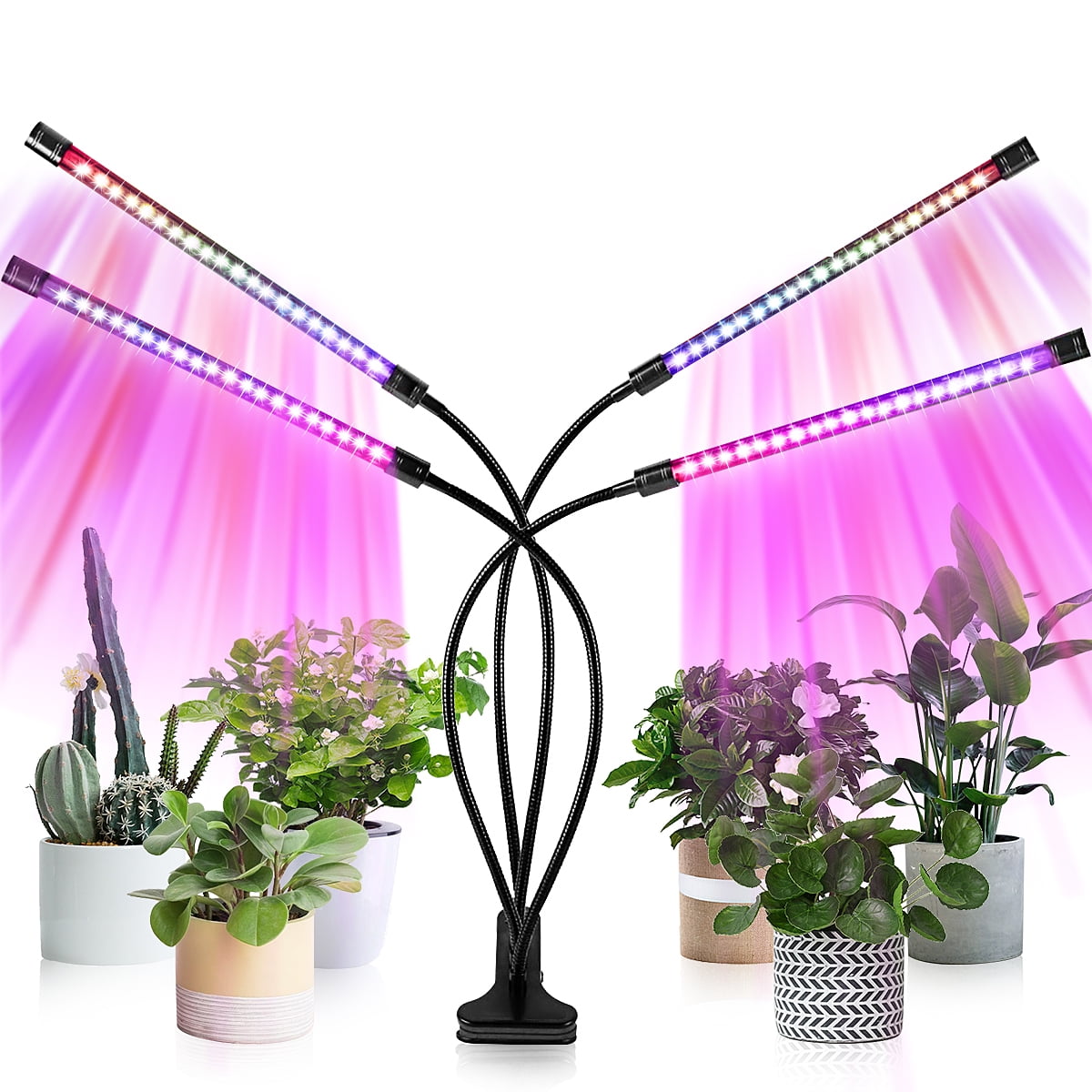 LED Grow Light Clip-on Plant Lamp for Indoor Plants Upgraded Version Full Spectrum & Red Spectrum, 4/8/12H Timer, 10 Dimmable Level, Adjustable Gooseneck for Seedlings Succulents - Walmart.com