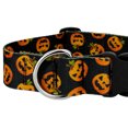 thumbnail image 5 of Country Brook Petz® 1 1/2 inch Deluxe Happy Jack Dog Collar, Extra Large, 5 of 5
