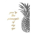thumbnail image 3 of Studio W 19x24 Black Modern Framed Museum Art Print Titled - Pineapple Life III, 3 of 5