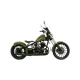 thumbnail image 2 of MOTOCICETA DINAMO CLASICA CHOPPER 250 CC VERDE, 2 of 2