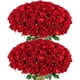 thumbnail image 1 of Rosas artificiales Rowfad Velvet Silk Red 60 unidades, 1 of 9