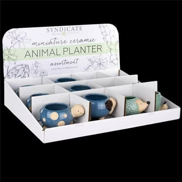 Avera Products 7036948 Ceramic Animal Succulent Pot, Assorted Color - Pack of 12