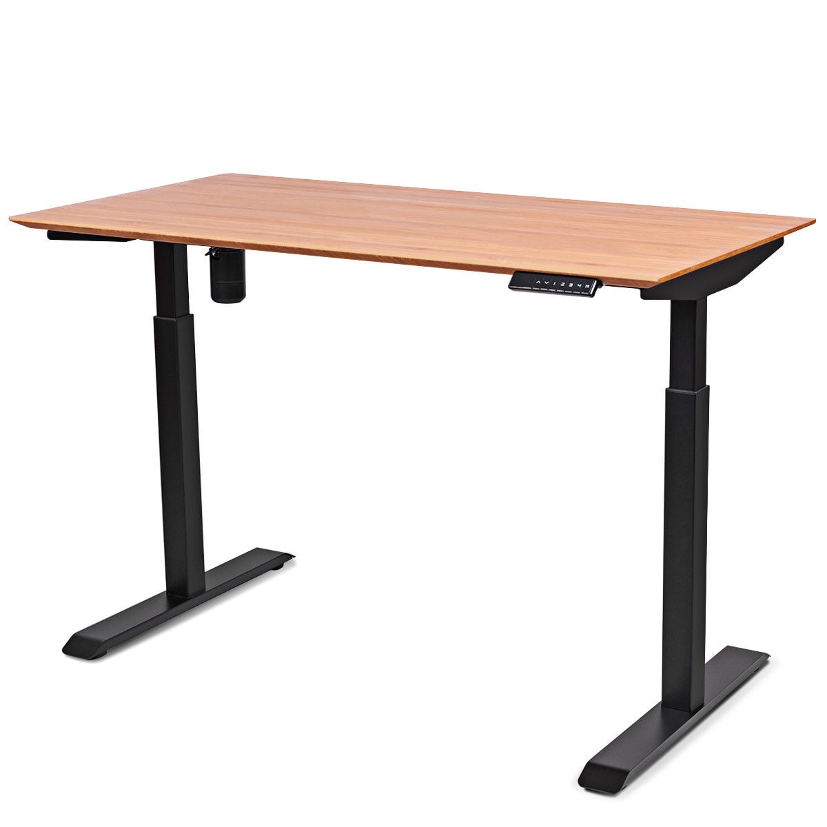 Gymax 53 Wide Electric Height Adjustable Standing Desk Sit To