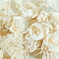 thumbnail image 5 of 50 Pcs Valley Meadow Raw Sola Wood Flowers Assortment 1.5 - 3", 5 of 5