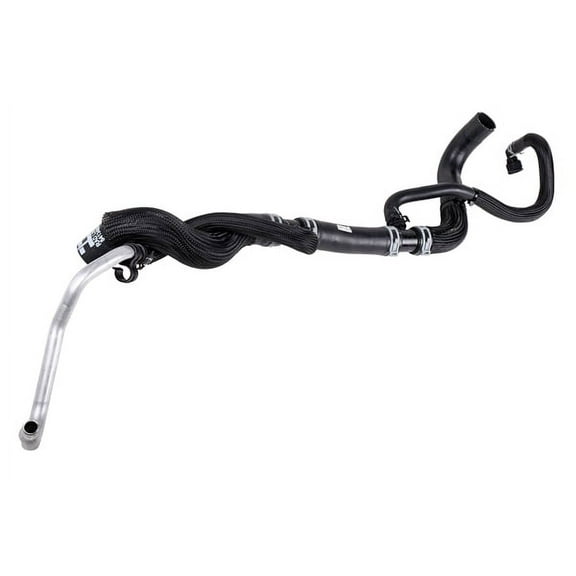 Radiator Outlet Hose