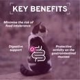 thumbnail image 4 of Forza10 Wet Cat Food Digestive Support 12 pack, 4 of 13