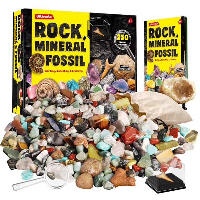 Colección de minerales y fósiles de roca para niños con más de 250 especímenes