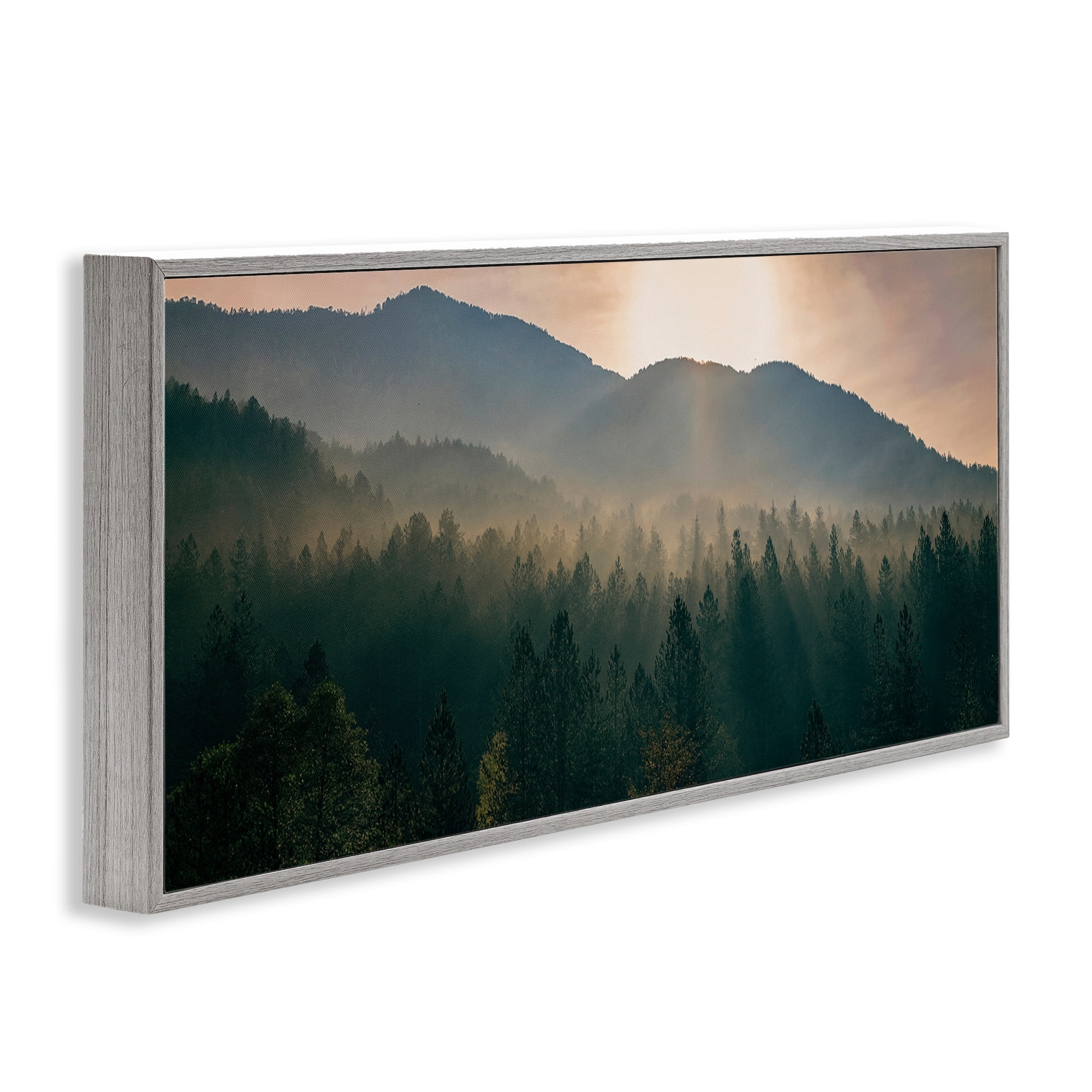 Stupell Industries Morning Sun over Misty Trees Landscape Photography Gray Framed Art Print Wall Art, 24 x 10