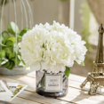 thumbnail image 1 of Moomass-Hortensia Artificial Y Jarrón De Cristal, Decoración, Estilo Ins, Juego De Botellas De Cristal Con Flores Artificiales, 1 of 5