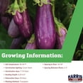 thumbnail image 2 of Harris Seeds - Eggplant Fairy Tale F1 Seeds - Semi-Spineless Plants - 500 Seeds, 2 of 7