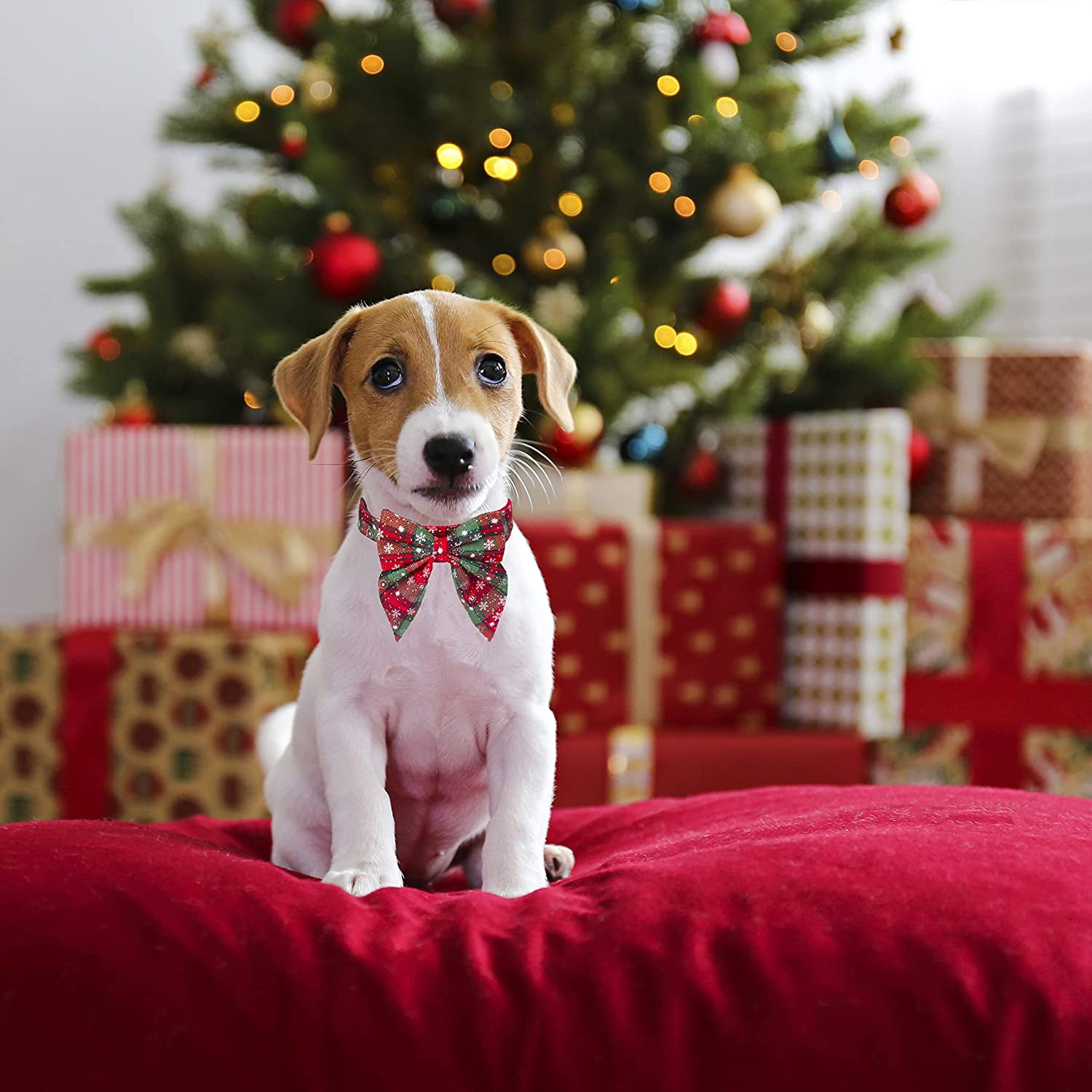 Christmas Dog Collar with Bow Adjustable Cotton Red Bowtie Dog Christmas Collars for Small Medium Large Dogs Pets