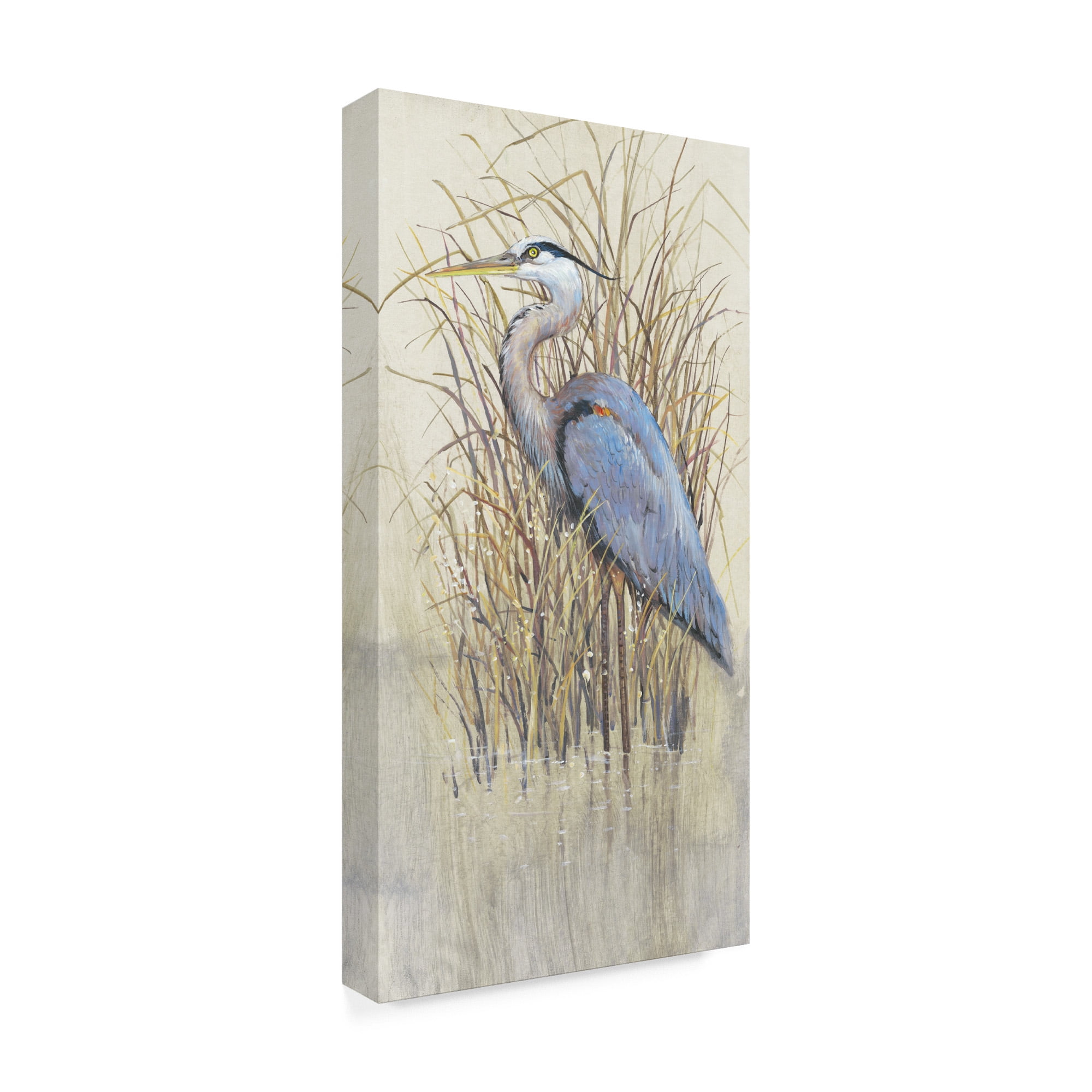 Trademark Fine Art 'Wading II' Canvas Art by Tim O'Toole