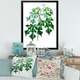 thumbnail image 3 of Designart 'Ancient Green Leaves Plants II' Traditional Framed Art Print, 3 of 4