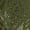 Olive Green, variant on AURA Plus Size Evening Dress Deep V Neck Sequin Slim Fit Party Long Skirt 0XL-4XL