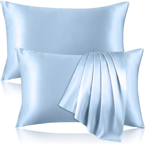 2 Pack 100% Pure Silk Pillowcase for Hair and Skin, Both Sides Mulberry Silk Pillowcases with Hidden Zipper, Cooling Pillowcase 19 Momme, 600 Thread Silk Pillow Cases Standard Size, Light Blue