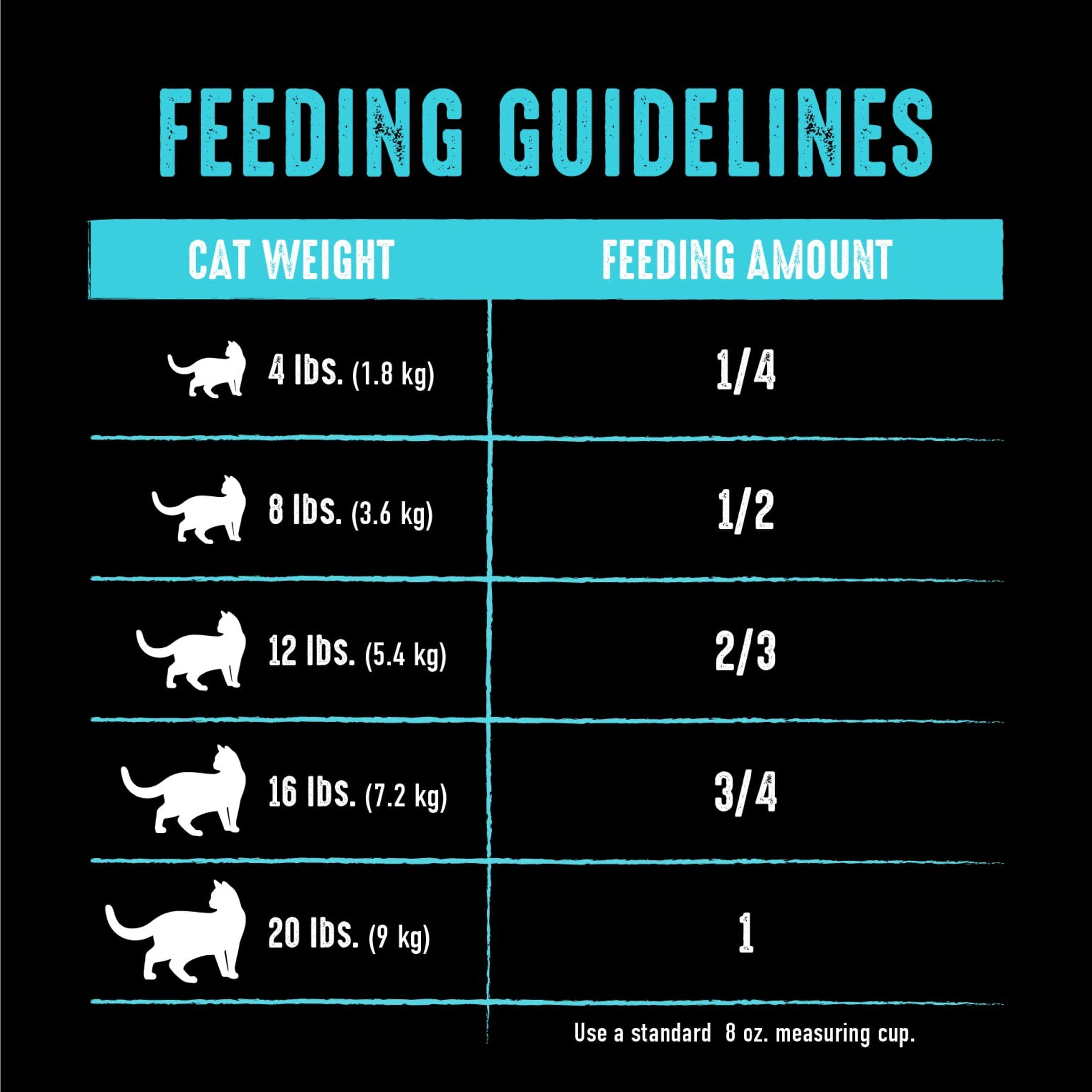 Crave Grain Free High Protein Natural Dry Cat Food With Protein From Salmon & Ocean Fish, 2 Lb. Bag