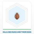 thumbnail image 3 of Raid Bed Bug Insect Killer Spray, Kills Bed Bugs and Eggs, 350g, 3 of 8