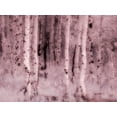 thumbnail image 2 of Eggers, Terry 14x12 White Modern Wood Framed Museum Art Print Titled - USA-Utah-Aspen Grove in infrared of the Logan Pass area, 2 of 4