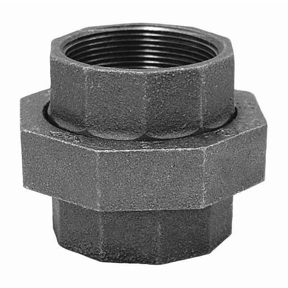 Anvil Union Union, 1/2" Pipe, FNPT, Malleable Iron, Class 150 0312822067