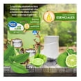 thumbnail image 3 of Aromatizante de ambiente continuo Great Value Green Tea Bliss 2 repuestos de 21ml, 3 of 5