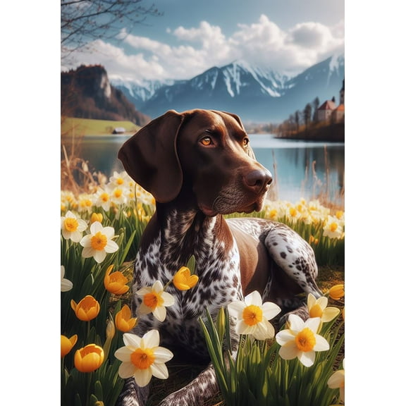 German Shorthair Pointer - Best of Breed DCR Spring House Size is 28" x 40" Flag