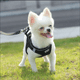 thumbnail image 3 of Arnés tipo chaleco universal ajustable, transpirable y reflectante para perros y cachorros, con correa para pasear (L), 3 of 3