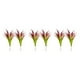 thumbnail image 1 of Matsuzay 2 paquetes/lote de plantas artificiales ecológicas combinadas de elegancia y frescura para el espacio vital Low Red Type1 NO1, 1 of 6