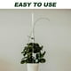 thumbnail image 2 of Juego de 20 estacas de acrílico transparente para plantas con pinza para orquídeas, para plantas de interior y exterior, soportes transparentes para tallos de jardín, flores y verduras, 2 of 8