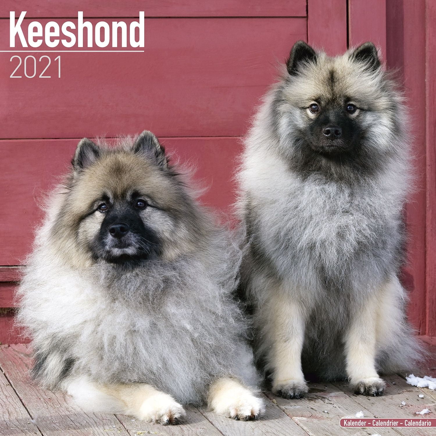 keeshond stuffed animal