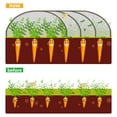 thumbnail image 7 of netuera Garden Mosquito Netting Plant Covers Protect Plants Vegetables Fruits 6.5*15ft, 7 of 7