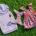 thumbnail image 6 of Oodles Purple Strawberry Print Ruffled Spring Dog Dress, Small, 6 of 11