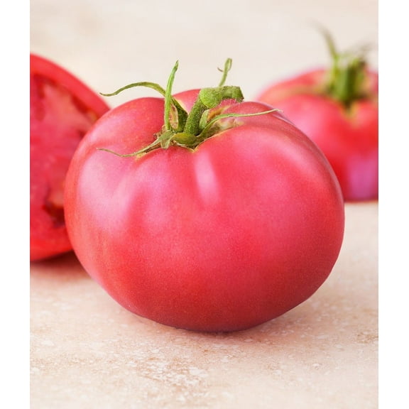 Sherwood's Seeds Heirloom Tomato Plant Seeds, Heat Tolerant, Crack Resistant