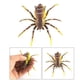 thumbnail image 4 of Señuelo de pesca de plástico blando 0.25oz Shamjiam Señuelo de cebo de pesca, 4 of 8