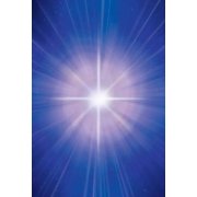 Lightworker Oracle Lightworker Oracle: Guidance & Empowerment for Those Who Love the Light, (Hardcover)