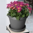 thumbnail image 5 of Bloem 14-in Terra Round Resin Planter - Charcoal Gray (Saucer Not Included), 5 of 7