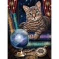 thumbnail image 1 of Juego de pintura de diamante 5D de 30x40cm para niños, gato adivina, bordado de diamantes, juego de pintura de lienzo de piedra de cristal, ideal para decoración de pared del hogar, 1 of 5