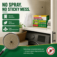thumbnail image 6 of Vamoo~Peppermint Oil Spider RepellentBalls 72 Pack ,rodentrepellent for House Garage to Get Rid of Spiders Outdoor Indoor– Natural Deterrent for Home, Garage, Car, 6 of 6