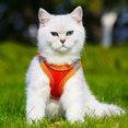 thumbnail image 2 of Soft Mesh Step In Dog Harness And Leash Set With Reflective Bands For Secure Walking Comfort Adjustable No Pull Pet Supplies For Small Dogs And Cats, 2 of 2