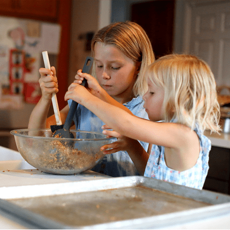 Ginger Biscuits - Bake at Home Horse Treats - Carrot Flavor - Makes 20 Treats, 1 lb, 9 oz Dry Mix