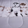 thumbnail image 4 of 3 Pieces Lovely Siberian Husky Dogs Print 3D Comforter Sets Queen Size Bedding for Teen Boys Adult Down Alternative Quilts Lightweight Bedspread Gray Blankets, 4 of 5