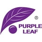 PURPLE LEAF profile photo