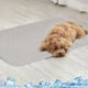 thumbnail image 1 of Esterilla Refrescante para Perros, Grande, 89 X 70 Cm | Almohadilla Autorefrescante para Perros | Manta Transpirable y Ligera para Cama de Interior y Exterior | Funda Portátil y Lavable para Asiento, 1 of 6