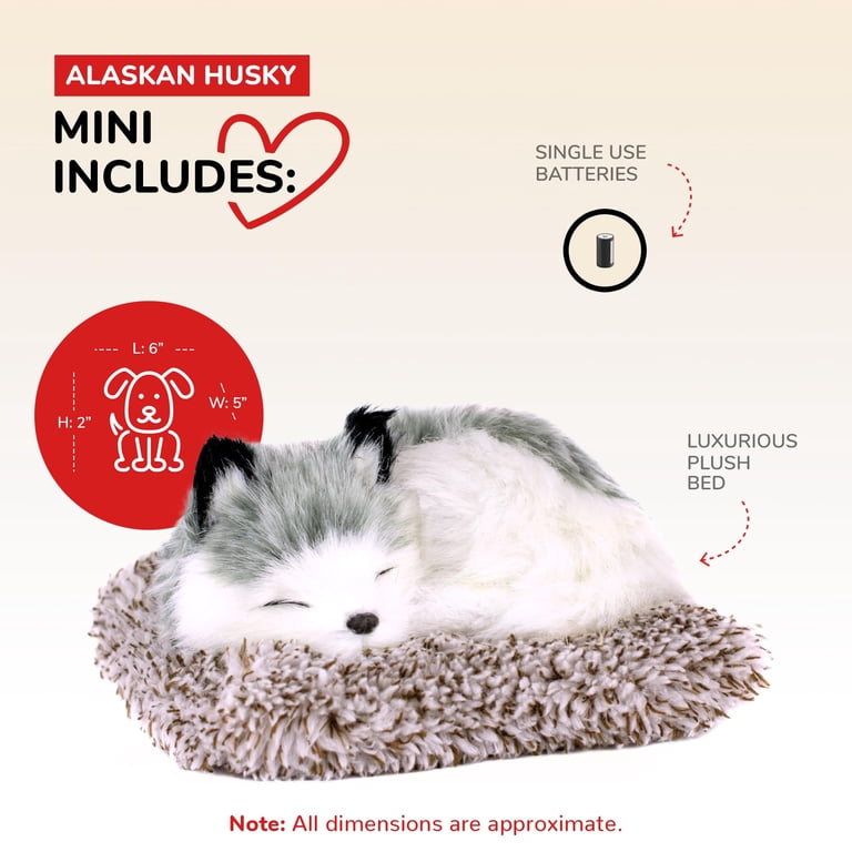 Perfect Petzzz, Mini Alaskan Husky, Interactive Plush Toy