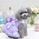 thumbnail image 1 of Vestido para cachorros pequeños y medianos, vestido de princesa de verano para mascotas, vestido para cachorros de niñas, traje para cachorros de chihuahua y yorkshire, vestido para gatos., 1 of 6