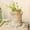 White Brown, variant on Glass Flower Vase with Handle – 8 Inches Rustic Imitation Ceramic Vase for Flowers, Vintage White Green Centerpiece Decor for Farmhouse, Modern Home, Table & Holiday Decorations