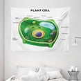 thumbnail image 1 of Educational Tapestry, Plant Cell Biology Research Botany Anatomy Structure Organic Life Nature, Wall Hanging for Bedroom Living Room Dorm Decor, 80W X 60L Inches, Green Pale Blue, by Ambesonne, 1 of 2