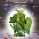 thumbnail image 4 of Plantas de tanque de peces de plantas altas hierba de agua de plástico paisaje de caja de reptiles para todos los peces decoración de acuario peces ornamentales Octpeak Otros, 4 of 8