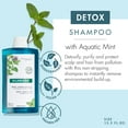 thumbnail image 4 of Klorane - Detox Shampoo with Aquatic Mint for Dull Hair - Purifies, Protects & Invigorates Hair - Visibly Increases Shine, 13.5 Fl Oz, 4 of 6